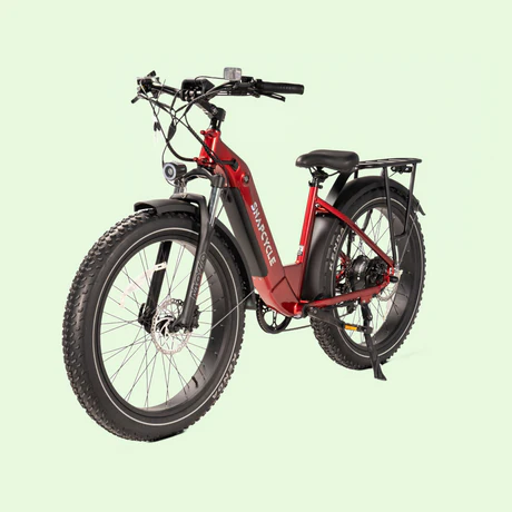 ebike 1 The Future of Urban Mobility: How Electric Commuter Bikes Are Reshaping Transportation Business Model