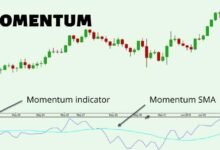 How to Identify Immediate Momentum Shifts in the Market 7 Immediate Momentum