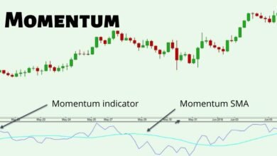 Immediate Momentum