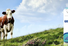 How to choose the best PCD veterinary pharma franchise partner 7 best PCD veterinary pharma