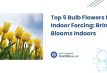 Top 5 Bulb Flowers for Indoor Forcing: Bring Blooms Indoors 4 Bulb-Flowers
