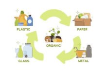 What Is Waste Segregation and How Can We Contribute? 13 cheap skip hire