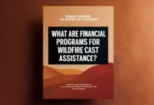 What Are Financial Programs for Wildfire Cast Assistance? 8 Financial Programs