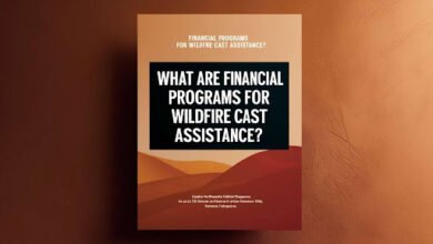 What Are Financial Programs for Wildfire Cast Assistance? 4 Financial Programs