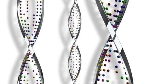 Why Every Laboratory Should Include RNA Ladders in Their Workflow 4 DNA