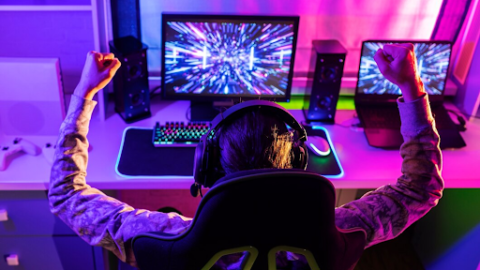 From Casual to Pro: A Step-by-Step Guide to Becoming a Professional Gamer 5 Professional Gamer