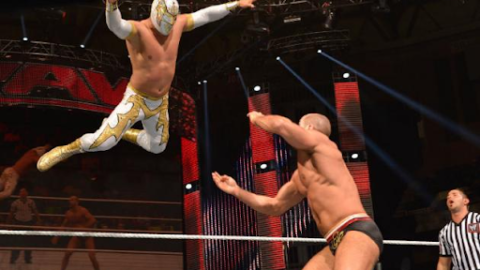 The Art of Wrestling: Techniques That Transcend the Sport 9 wwe smackdown