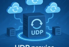 Where to Find High-Quality Proxies with UDP Protocol Support? 9 UDP Protocol Support