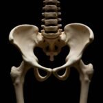 Pelvic-Floor-Strengthening-Exercises_-How-to-Start-Without-Making-Common-Mistakes.