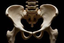 Pelvic Floor Strengthening Exercises: How to Start Without Making Common Mistakes 7 Pelvic-Floor-Strengthening-Exercises_-How-to-Start-Without-Making-Common-Mistakes.